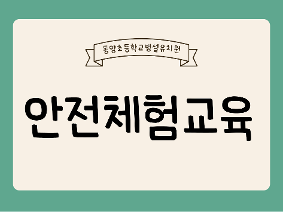 안전체험교육