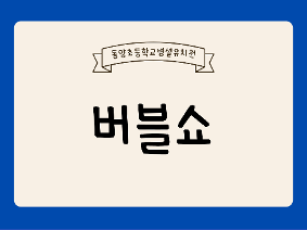 버블쇼